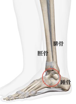 足根洞症候群について