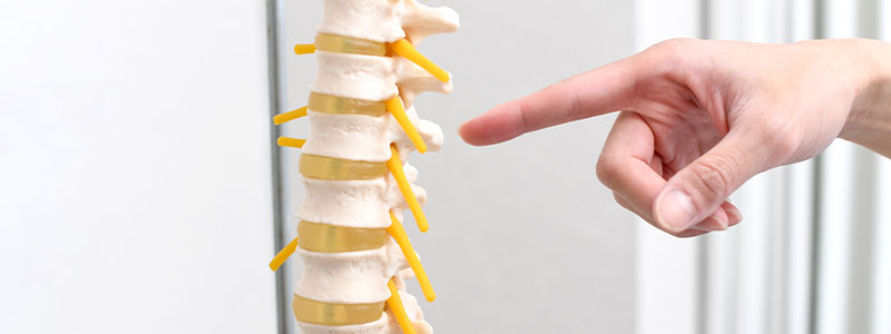背骨の歪み